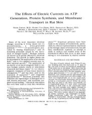 The Effects of Electric Currents on ATP Generation, Protein Synthesis, and Membrane Transport in Rat Skin